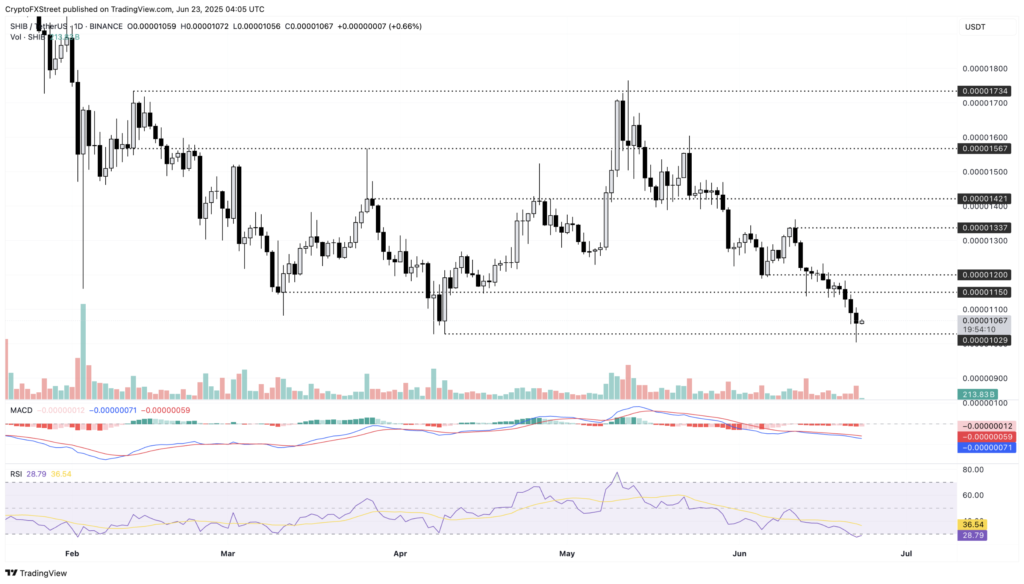 نمودار قیمت و سطوح حیاتی شیبا اینو (SHIB) - منبع: TradingView